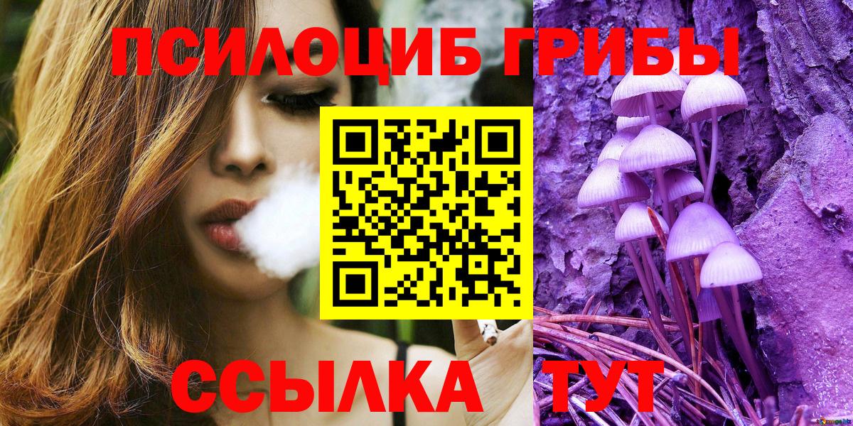 Псилоцибиновые грибы Psilocybe  Вход с VPN  Карталы 