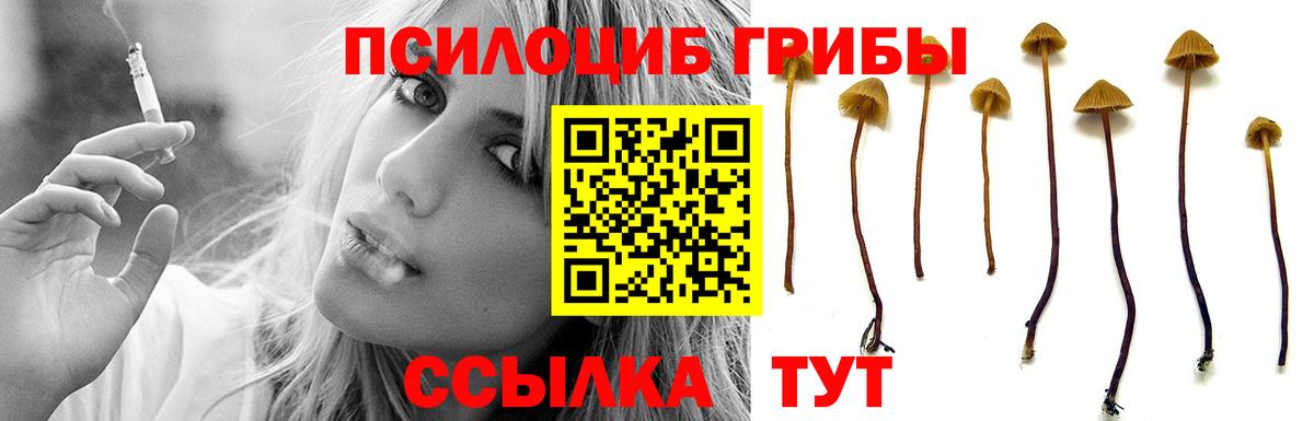 Галлюциногенные грибы Magic Shrooms Карталы